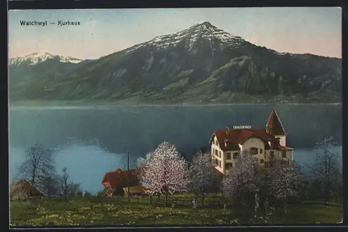 AK Walchwil, Kurhaus am Zugersee Rust-Hediger aus der Vogelschau