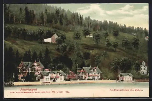 AK Unter-Aegeri, Kindersanatorium Dr. Weber, Panorama