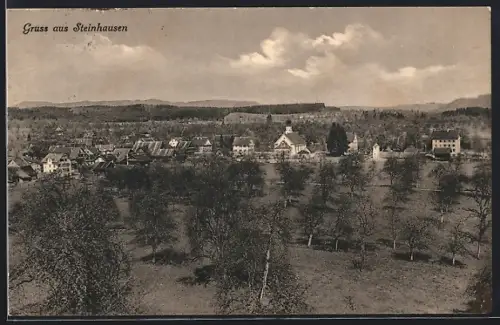 AK Steinhausen, Ortsansicht mit Umgebung
