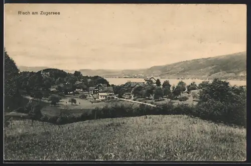 AK Risch am Zugersee, Totalansicht