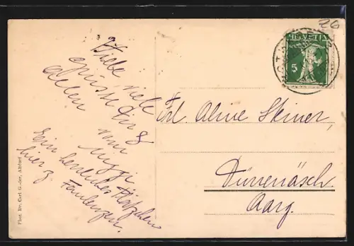 AK Risch am Zugersee, Totalansicht