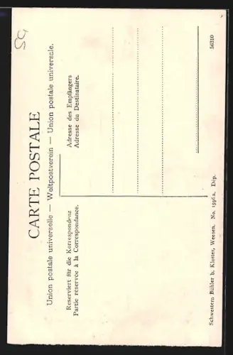 AK Weesen, Ortsansicht mit Speer, Mattstock und Kapfenberg