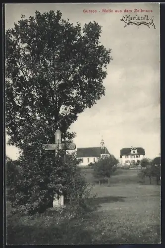 AK Sursee / Zellmoos, Teilansicht mit Kirche