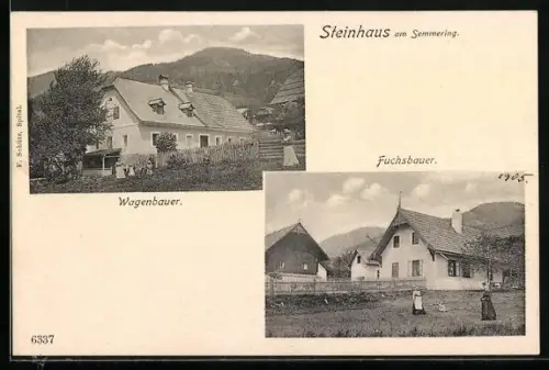 AK Steinhaus /Semmering, Wagenbauer, Fuchsbauer