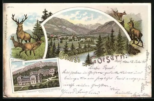 Lithographie Goisern, Erzherzogin Marie Valerie-Schwefel-Bad und Restaurant, Ortsansicht