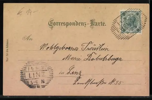 Lithographie Ebensee /O.Ö., Kranabet Sattel-Alm, Langbath-See, Rinnbach gegen die Berge, Totalansicht