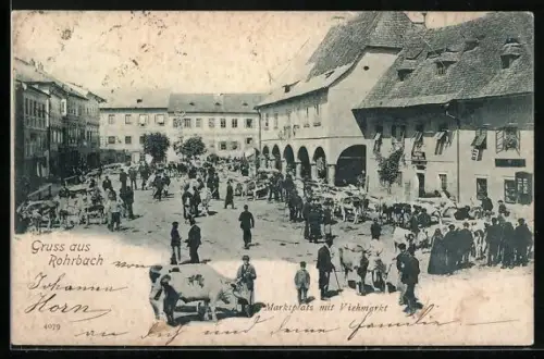 AK Rohrbach /O.-Oe., Markplatz mit Viehmarkt