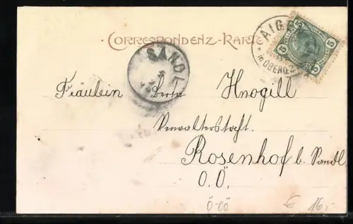 AK Aigen /O.-Oe., belebte Strassenpartie