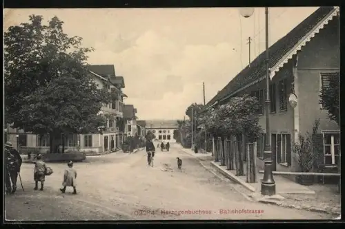 AK Herzogenbuchsee /Bern, Bahnhofstrasse