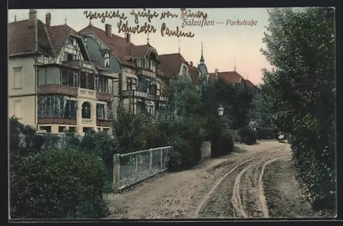 AK Salzuflen, Parkstrasse mit Bäumen