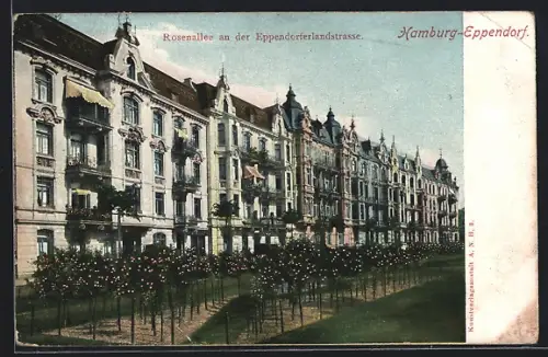 AK Hamburg-Eppendorf, Rosenallee an der Eppendorferlandstrasse