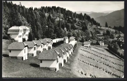 AK Micheldorf /Kärnten, Agathenhof, Graupnerhöhe mit verschiedenartigen Villen