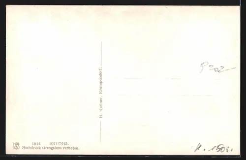 AK Krumpendorf am Wörthersee, Teilansicht mit Bergen