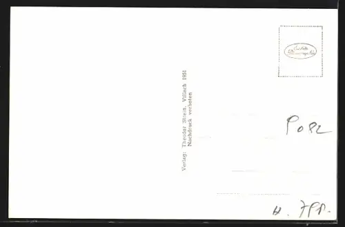 AK Reifnitz am Wörthersee, Totalansicht der Ortschaft