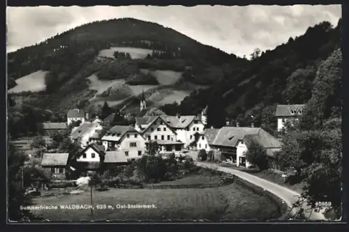 AK Waldbach /Ost-Steiermark, Strassenpartie mit Bäumen