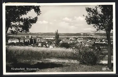 AK Fürstenfeld /Steiermark, Teilansicht mit Bäumen