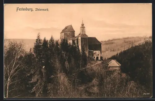 AK St. Lorenzen am Wechsel, Festenburg, Blick zum Schloss