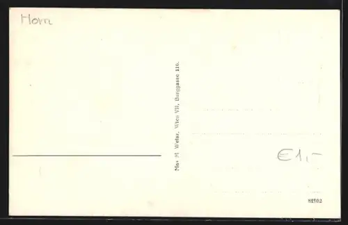 AK Rosenburg am Kamp, Blick zum Schloss