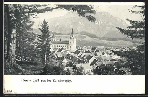 AK Maria Zell, Teilansicht mit Kirche von der Karolinenhöhe