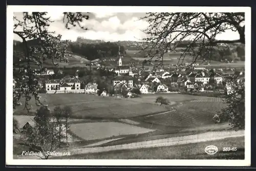 AK Feldbach /Steiermark, Teilansicht mit Kirche