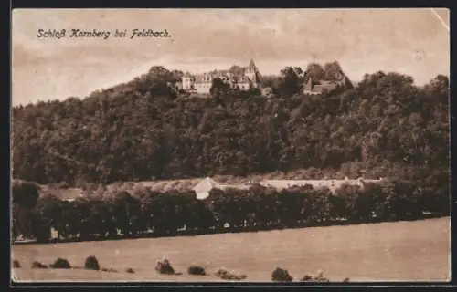 AK Riegersburg /Stmk., Schloss Kornberg