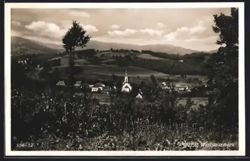 AK Wies /Weststeiermark, Ortsansicht vom Weinberg aus