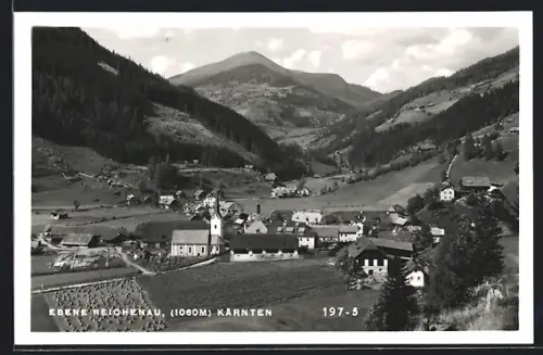 AK Reichenau /Kärnten, Ortsansicht mit Talpanorama