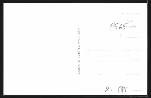 AK Reichenau /Kärnten, Ortsansicht mit Talpanorama