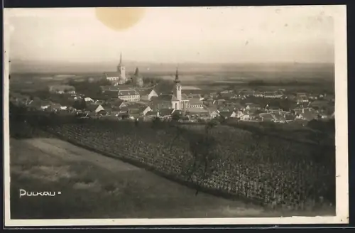 AK Pulkau, Ortsansicht über die Weinreben