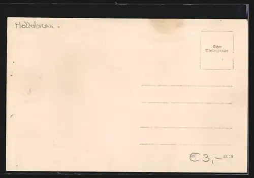 AK Pulkau, Ortsansicht über die Weinreben