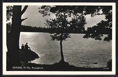AK Gmünd /N-Oe., Abendlicher Seeblick mit Ausflüglern