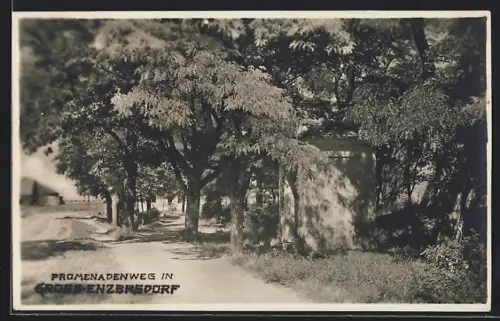 AK Gross-Enzersdorf, Partie am Promenadenweg