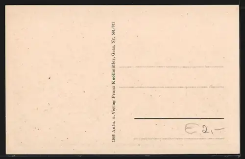 AK Graz, Ortsansicht mit Brücken über die Mur