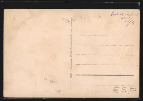 AK Gaming /N.-Oe., Teilansicht gegen Gamingstein