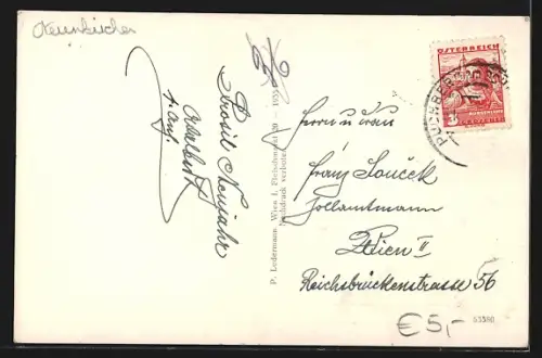 AK Puchberg, Panorama mit Schneeberg