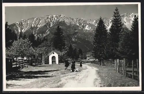 AK Puchberg am Schneeberg, Ortspartie gegen das Hochgebirge