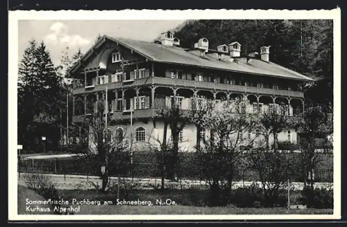 AK Puchberg am Schneeberg, Kurhaus Alpenhof