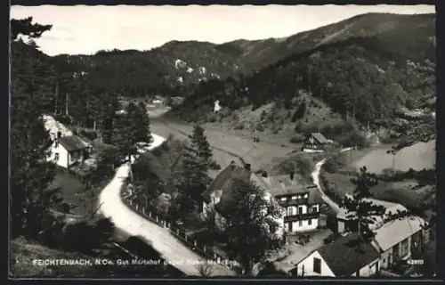 AK Feichtenbach /N.Oe., Gut Martahof gegen Hohe Mandling
