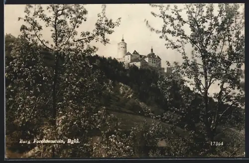 AK Forchtenstein /Bgld., Blick auf Burg Forchtenstein vom Tal aus