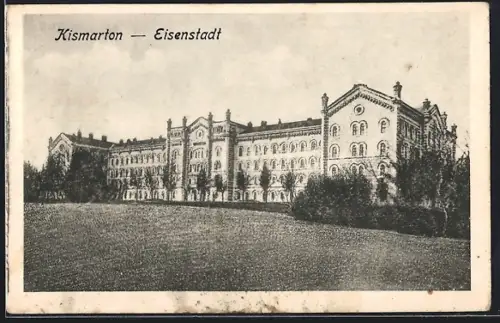 AK Eisenstadt, Ansicht des Schlosses