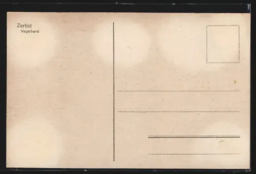 AK Zerbst, Vogelherd im Schlosspark