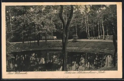 AK Bad Wilsnack, Partie im Schützenhaus-Park