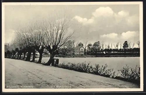 AK Bredstedt /Schleswig, Blick auf den Mühlenteich