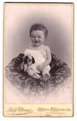 Fotografie Adolf Ellinger, Oberrad-Frankfurt a.M., De Neufville Strasse, Porträt eines kleinen Kindes mit Stofftier
