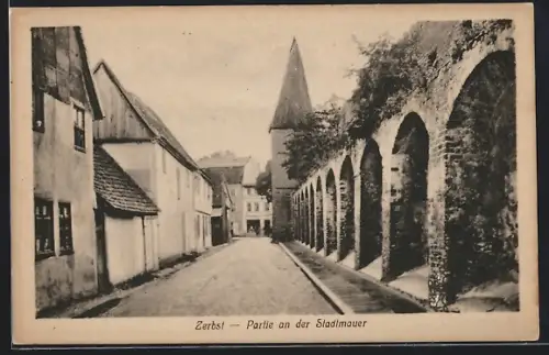 AK Zerbst, Partie an der Stadtmauer