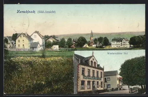 AK Herschbach / Westerwald, Hotel Westerwälder Hof, Ortsansicht mit Kirche