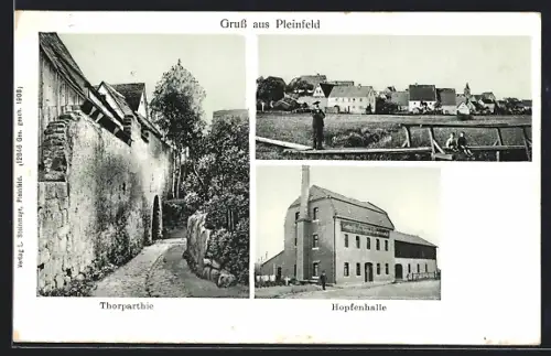 AK Pleinfeld, Hopfenhalle, Ortspanorama, Thorpartie