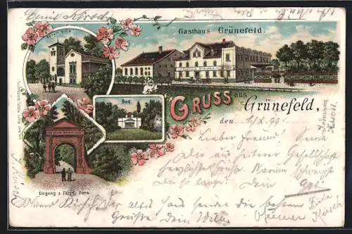Lithographie Grünefeld / Sachsen, Gasthaus Grünefeld, Fürstliche Villa, Bad