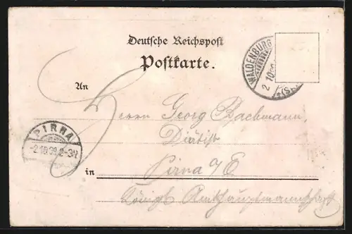 Lithographie Grünefeld / Sachsen, Gasthaus Grünefeld, Fürstliche Villa, Bad