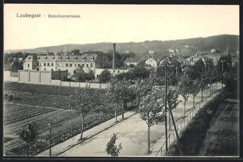 AK Dresden-Laubegast, Blick auf die Dobritzerstrasse